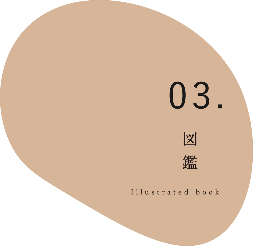 03. 図鑑：Illustrated book