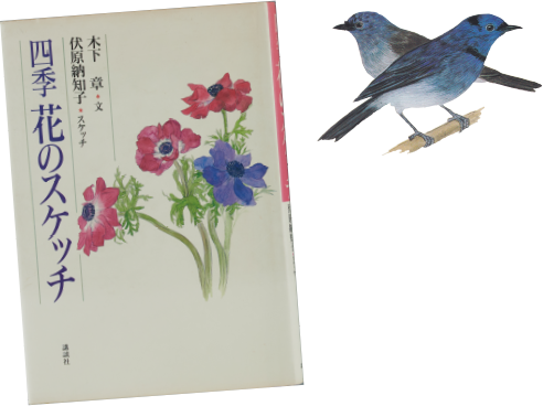 図鑑：Illustrated book